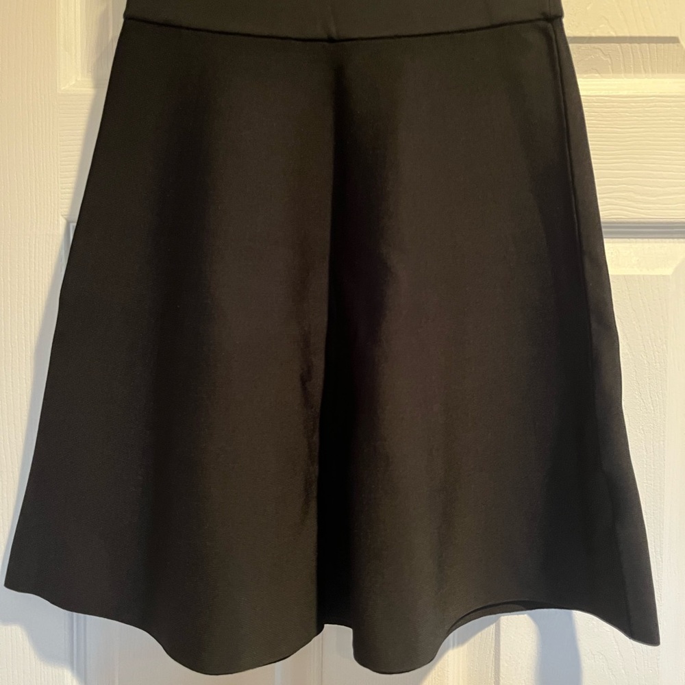 Ann Taylor Skirt